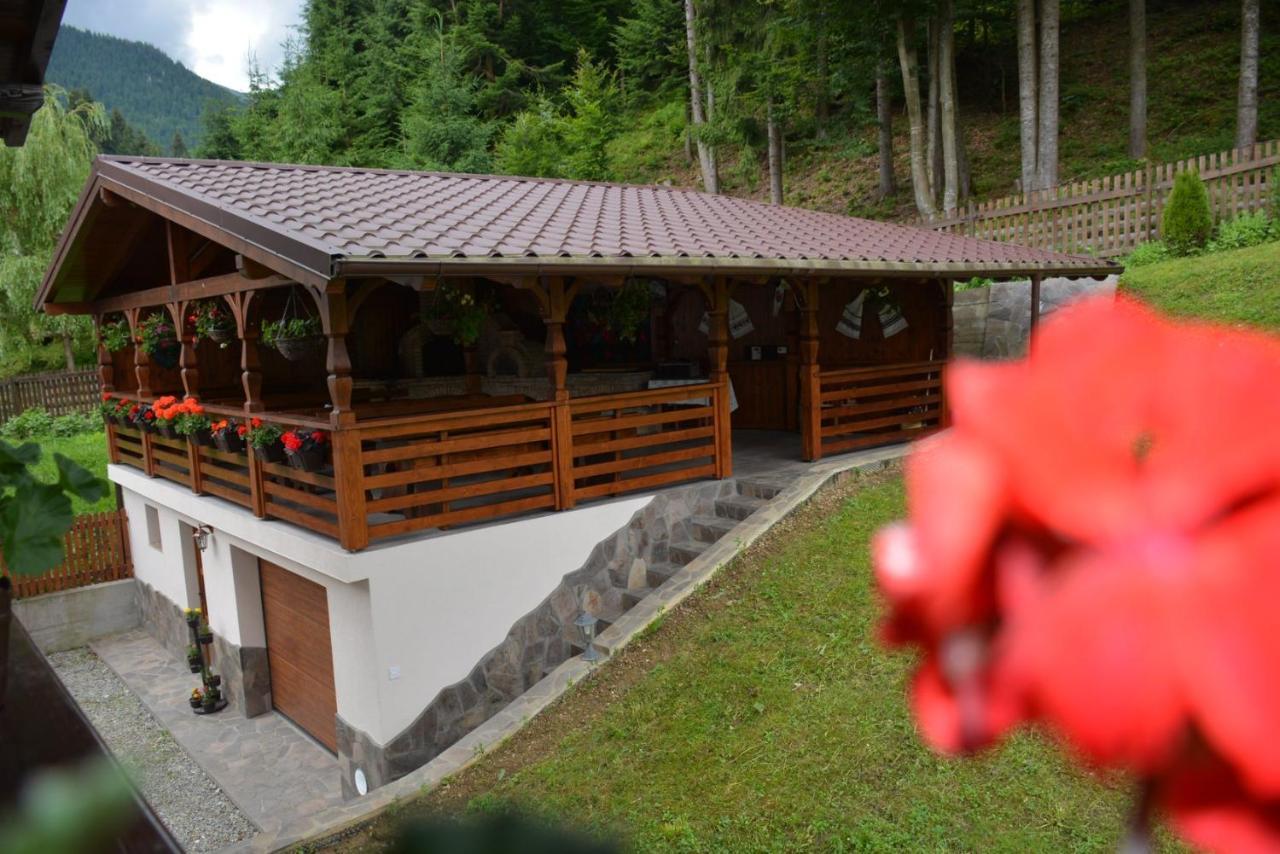 Cabana Cascada Cailor Hotel Borsa  Kültér fotó