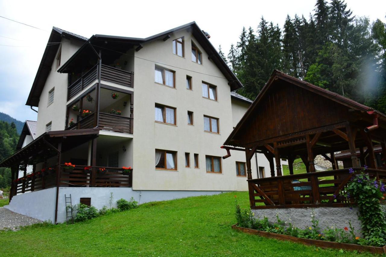Cabana Cascada Cailor Hotel Borsa  Kültér fotó