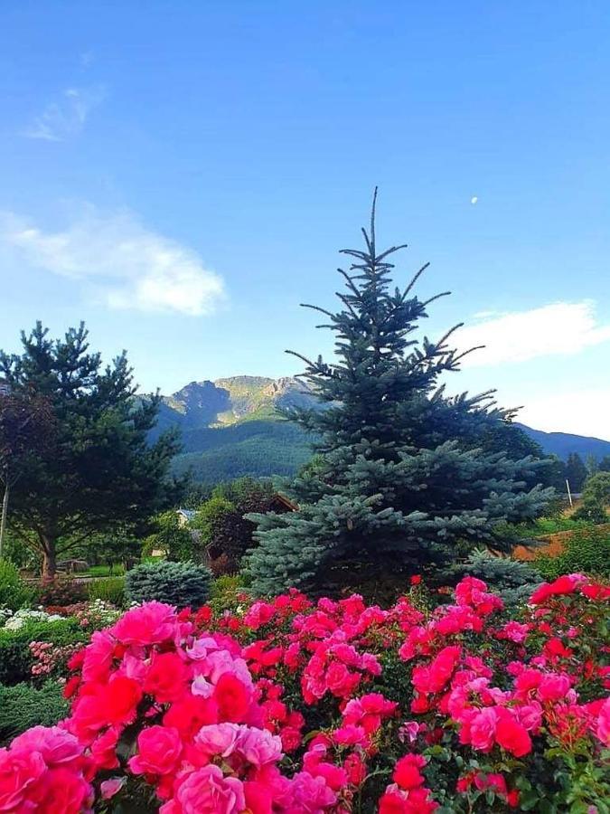 Cabana Cascada Cailor Hotel Borsa  Kültér fotó