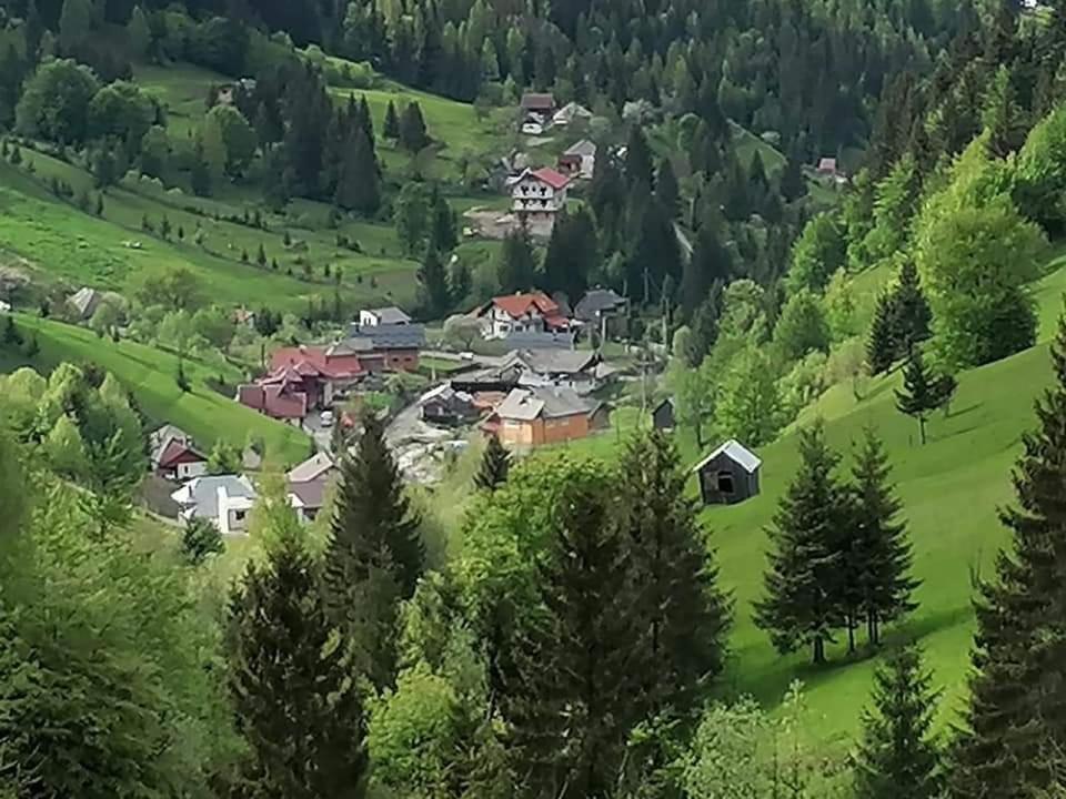 Cabana Cascada Cailor Hotel Borsa  Kültér fotó