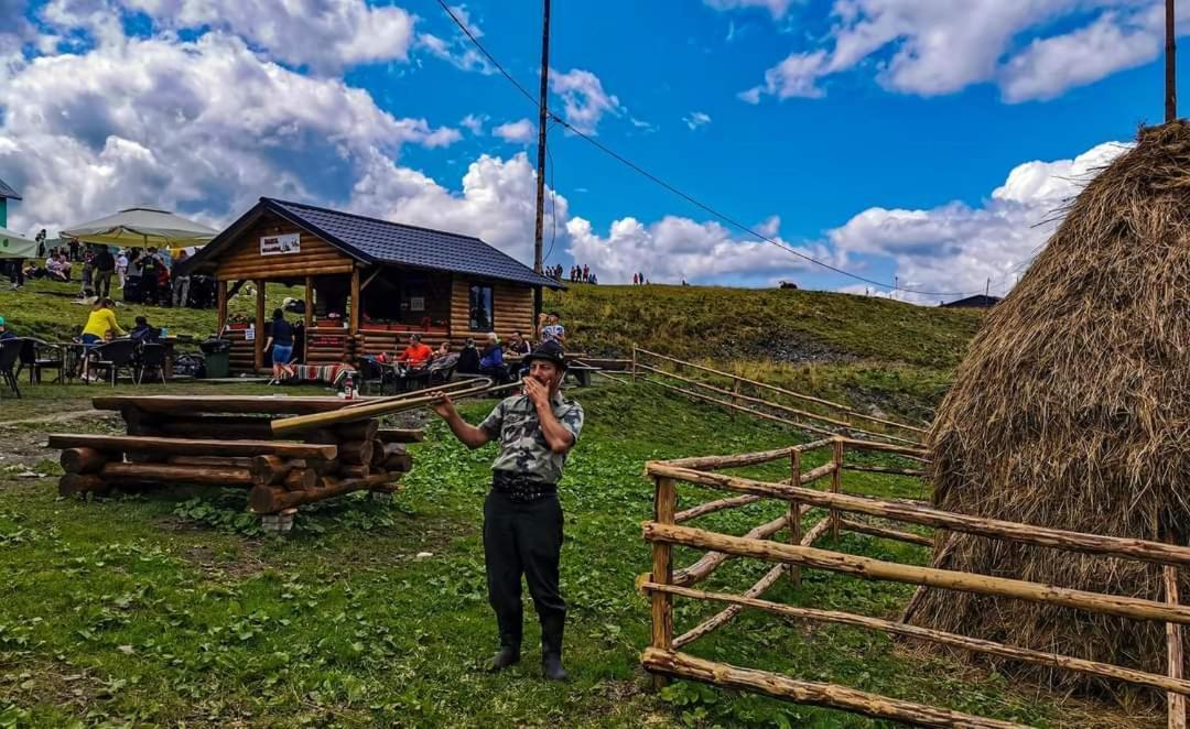Cabana Cascada Cailor Hotel Borsa  Kültér fotó