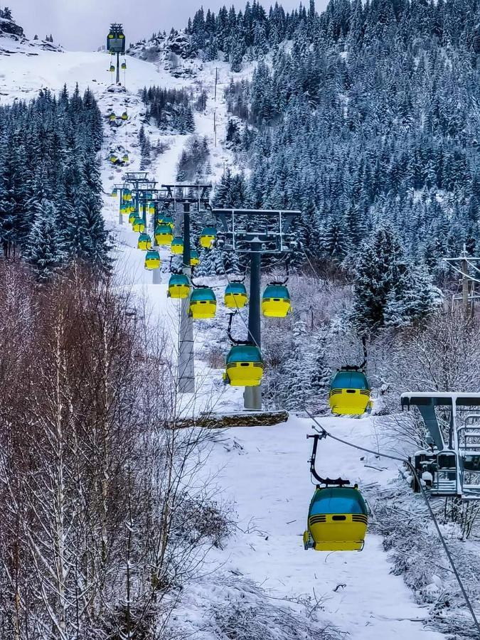 Cabana Cascada Cailor Hotel Borsa  Kültér fotó