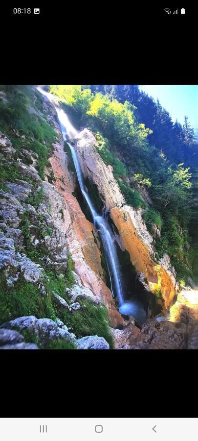 Cabana Cascada Cailor Hotel Borsa  Kültér fotó
