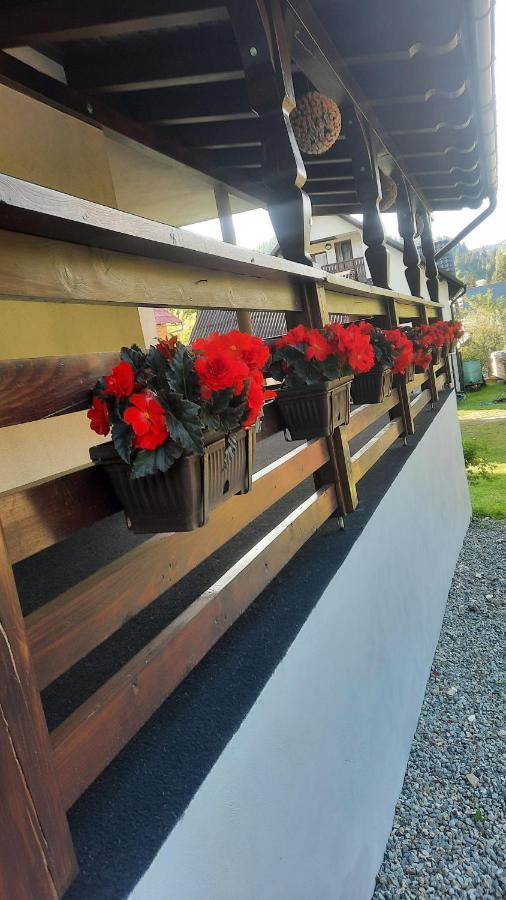 Cabana Cascada Cailor Hotel Borsa  Kültér fotó