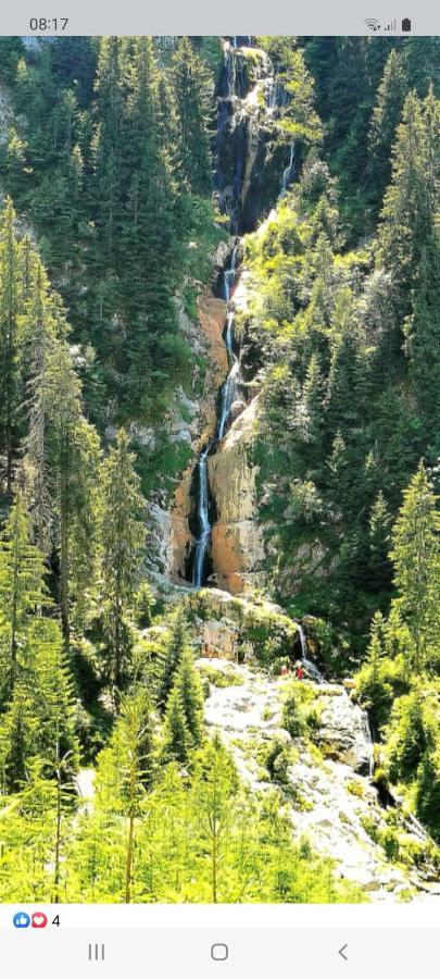 Cabana Cascada Cailor Hotel Borsa  Kültér fotó